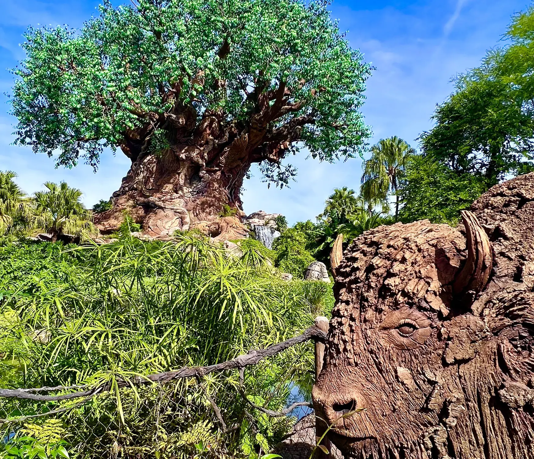 Tree of Life at Disney's Animal Kingdom