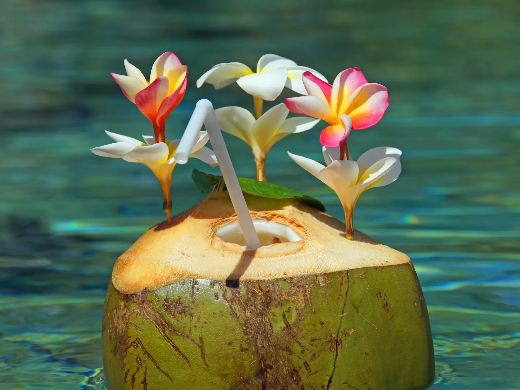 Fresh tropical flowers arranged in a coconut beside resort water