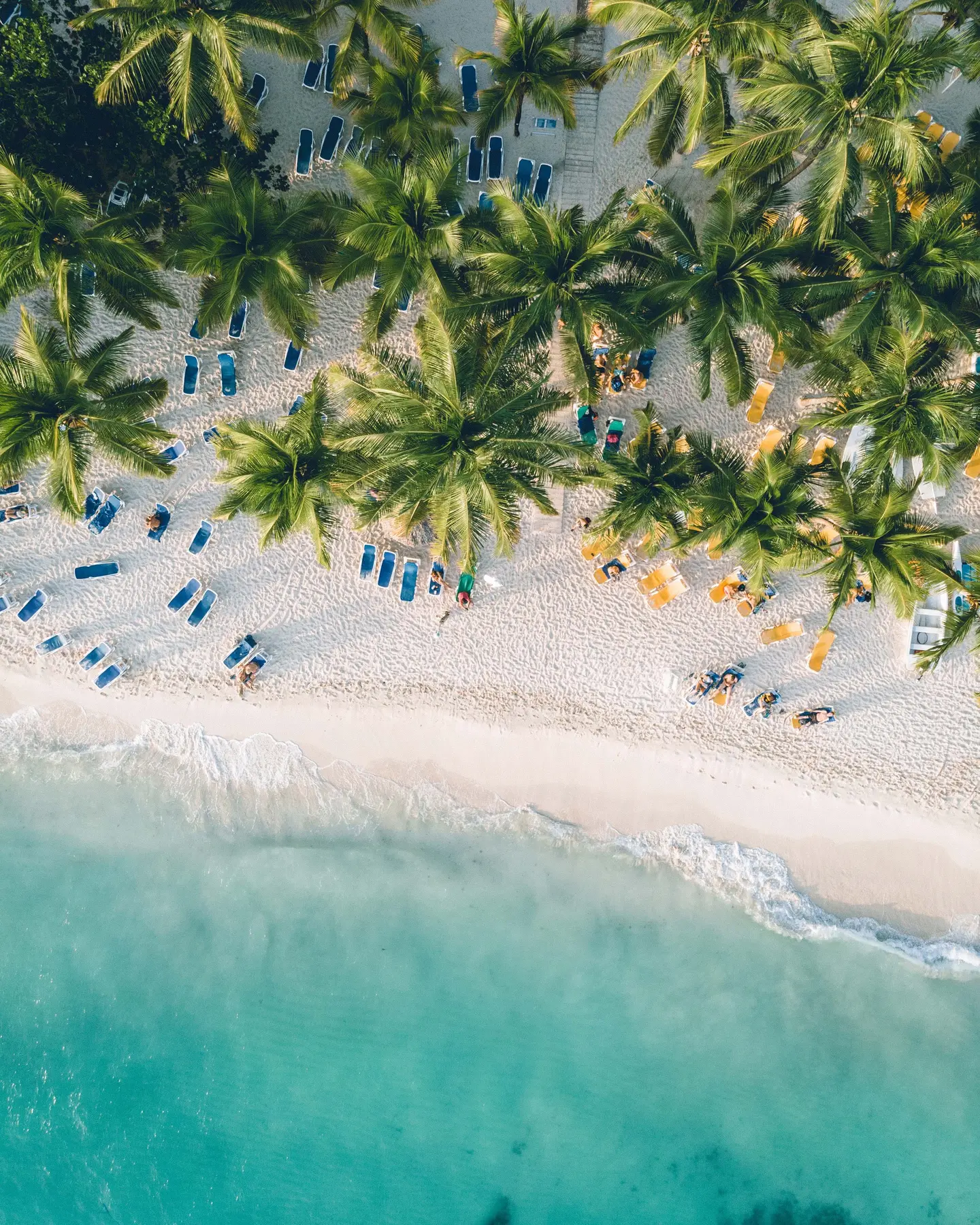 Bright tropical beach and turquoise water seen from above